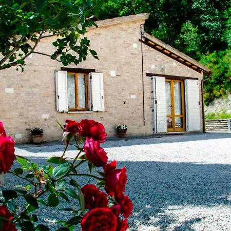Bed and Breakfast Calmancino Delle Selve Урбино Экстерьер фото