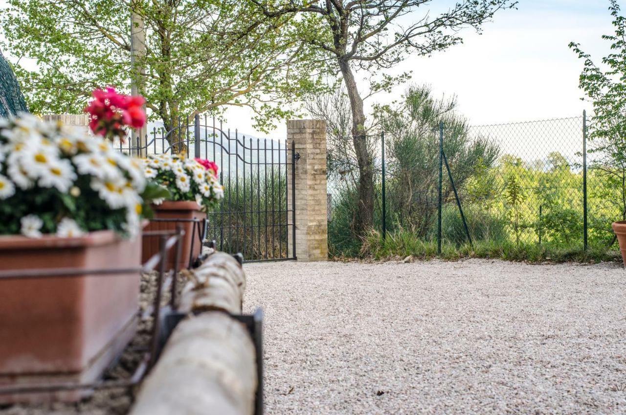 Bed and Breakfast Calmancino Delle Selve Урбино Экстерьер фото