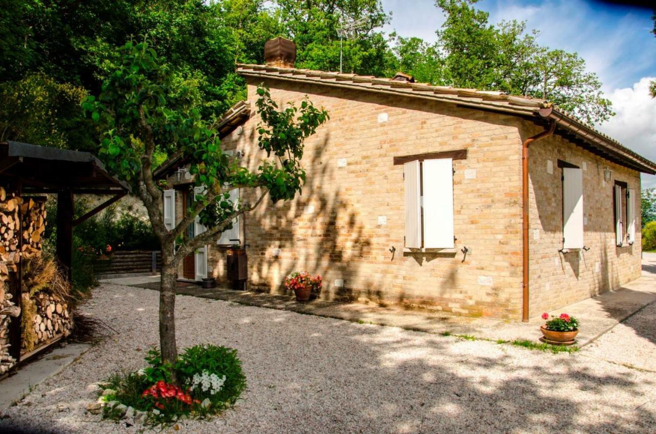 Bed and Breakfast Calmancino Delle Selve Урбино Экстерьер фото