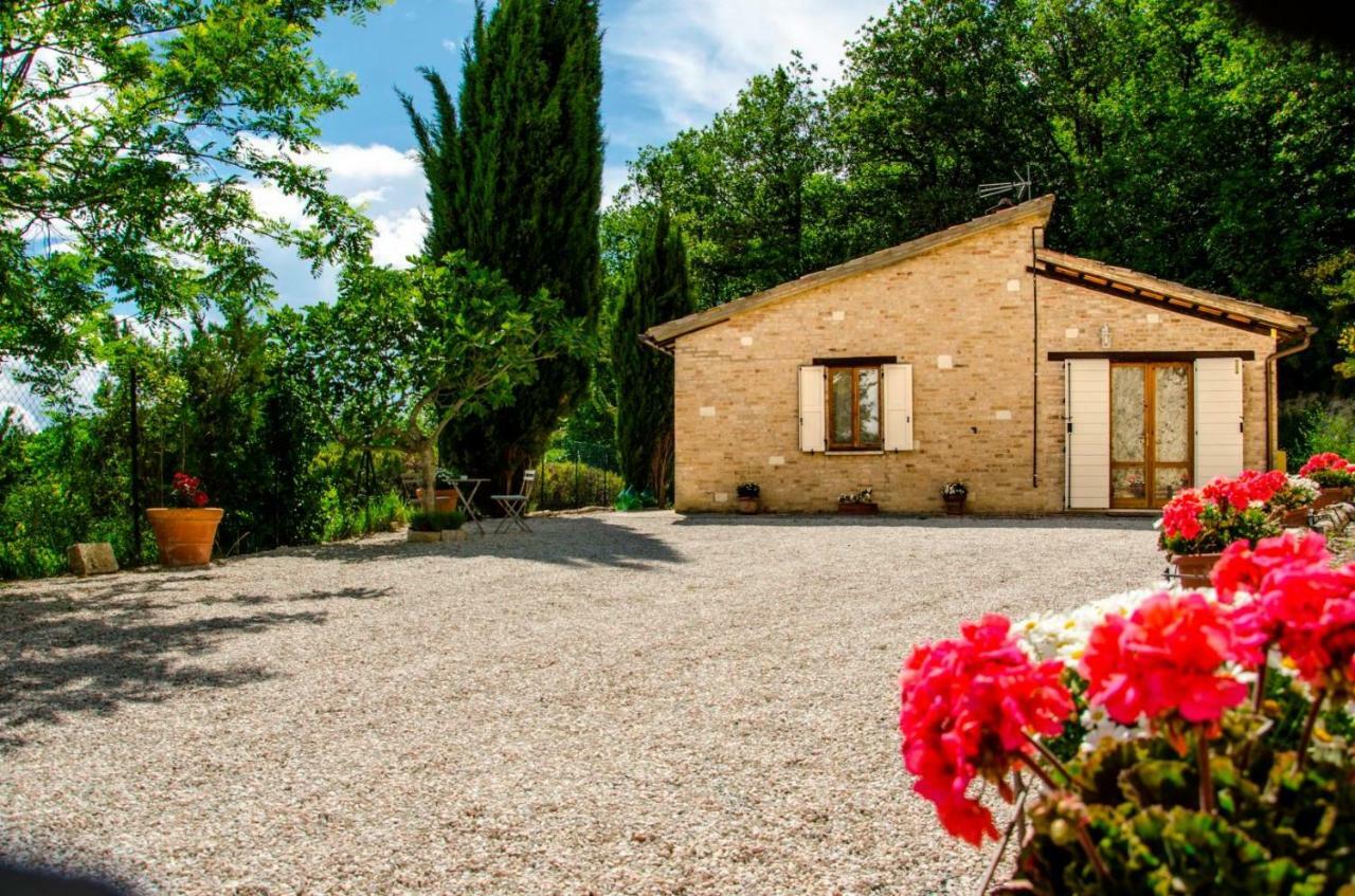 Bed and Breakfast Calmancino Delle Selve Урбино Экстерьер фото