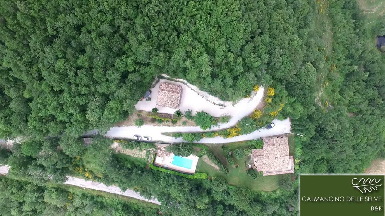 Bed and Breakfast Calmancino Delle Selve Урбино Экстерьер фото