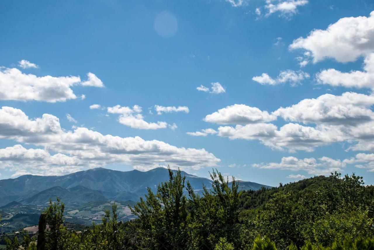 Bed and Breakfast Calmancino Delle Selve Урбино Экстерьер фото