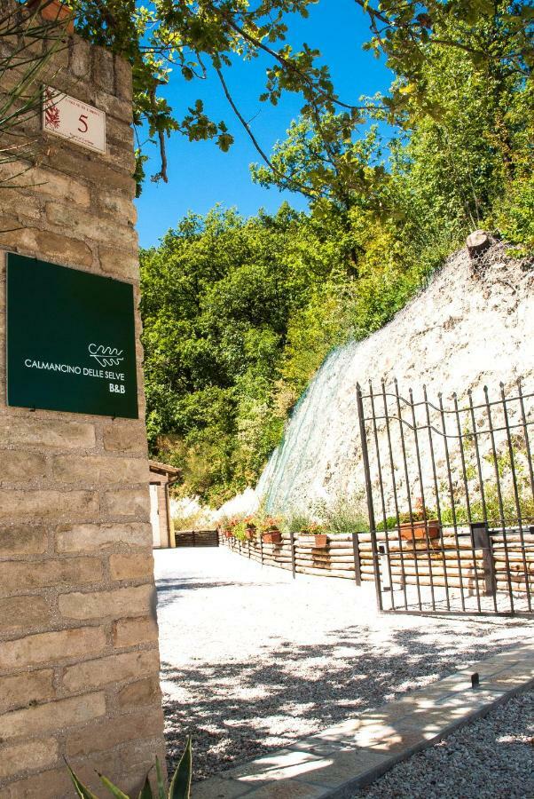 Bed and Breakfast Calmancino Delle Selve Урбино Экстерьер фото
