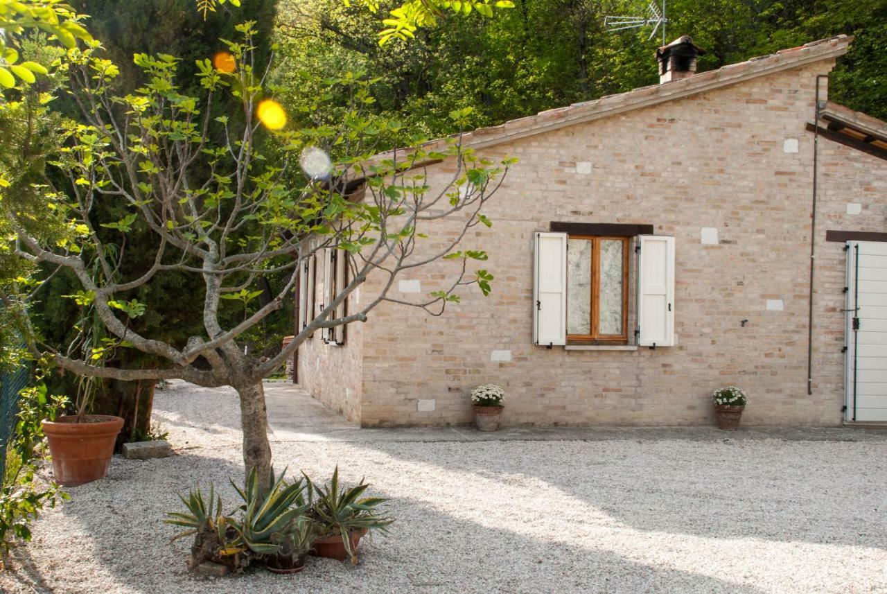 Bed and Breakfast Calmancino Delle Selve Урбино Экстерьер фото